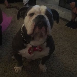 Meet your Posher, Christina